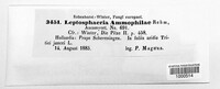 Amarenographium metableticum image